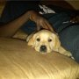 's Photo #2